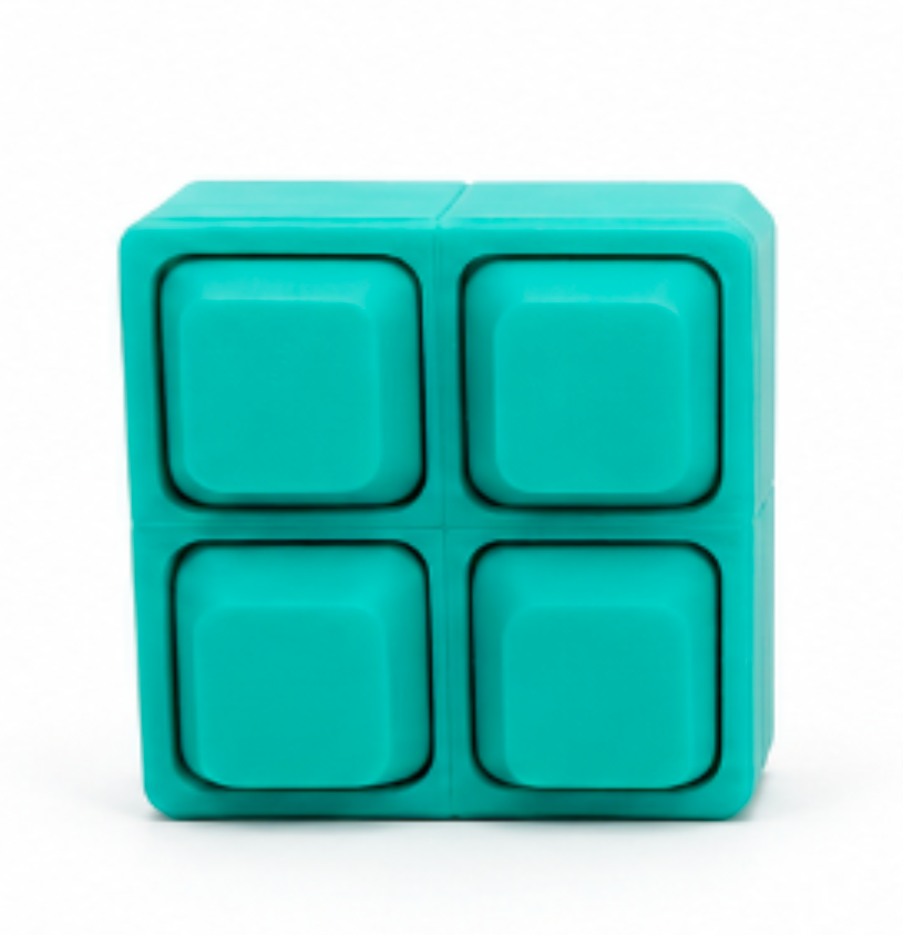 FIDGET TOYS